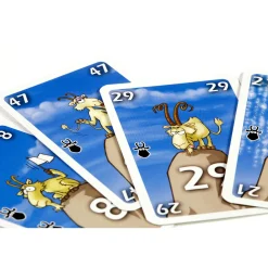 999 Games  Bokken Schieten kaartspel