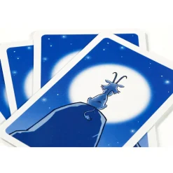 999 Games  Bokken Schieten kaartspel