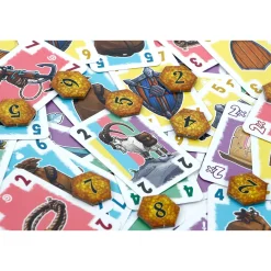 999 Games  Schatten van de Phoenix kaartspel