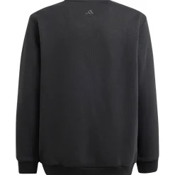 Adidas ALL SZN Graphic sweater junior black