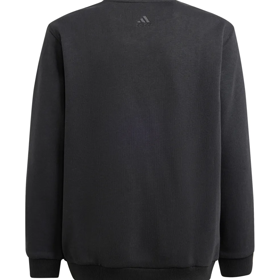 Adidas ALL SZN Graphic sweater junior black