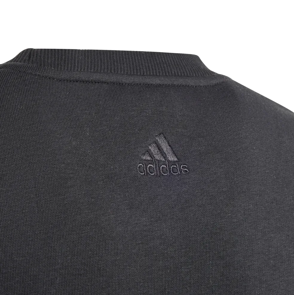 Adidas ALL SZN Graphic sweater junior black