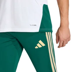 Adidas Italië 26 Tiro trainingsbroek heren collegiate green