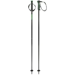 Head Frontside skistokken black green