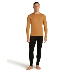 Icebreaker M 260 Tech LS thermoshirt heren trail