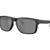 Oakley Holbrook XXL zonnebril prizm black matte black