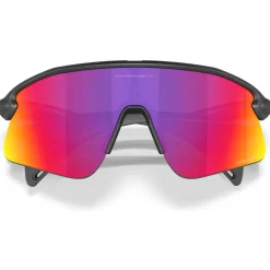 Oakley Stunt Devil zonnebril prizm road matte black