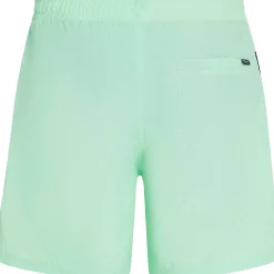 O'Neill Vert 16 inch zwembroek heren mildrew mint