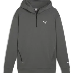Puma RAD/CAL hoodie heren mineral grey