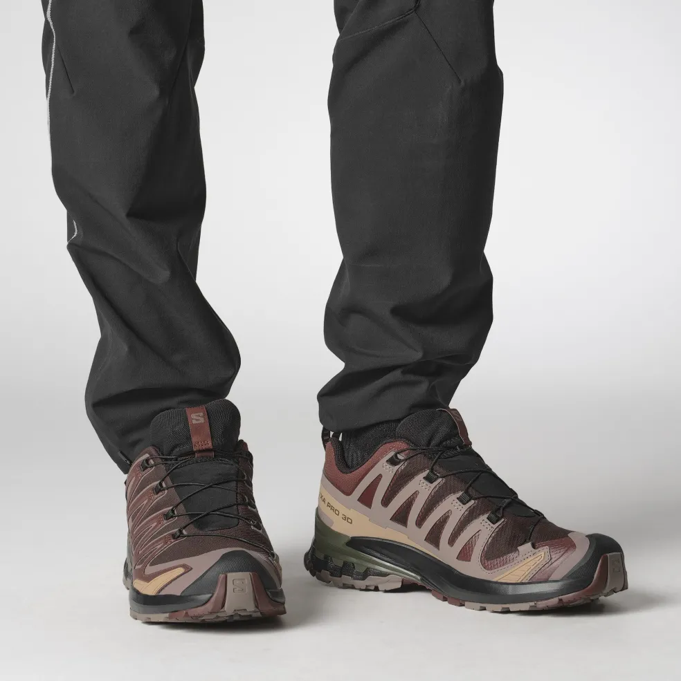 Salomon XA PRO 3D V9 GORE-TEX hardloopschoenen heren black coffee rum raisin olive night