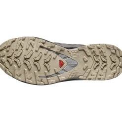 Salomon XA PRO 3D V9 GORE-TEX hardloopschoenen dames plum kitten black gull