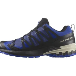 Salomon XA PRO 3D V9 GORE-TEX wandelschoenen heren blue print surf the web lapis blue