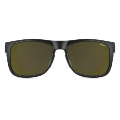 Sinner Totai zonnebril smoke gold matte black